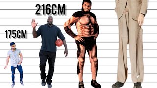 Height COMPARISON Tallest people in the WORLD [upl. by Etnuahs397]