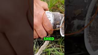 Animal Stuck In Water Pipe Rescue 😱 [upl. by Nuahc]