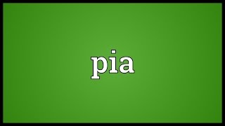 Pia Meaning [upl. by Farman5]