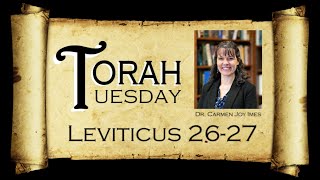 Torah Tuesday  Leviticus 2627 [upl. by Joelly]