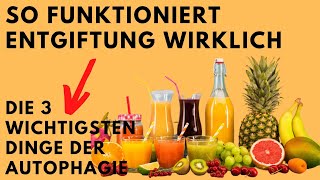 3 wichtigsten Dinge der Zellreinigung des Körpers  Schnelle Anleitung zur Entgiftung Autophagie [upl. by Wedurn971]