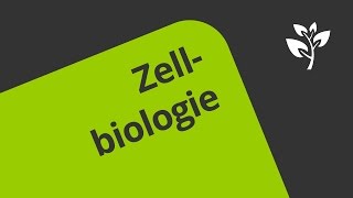 Die Geschichte der Zellbiologie  ein Überblick  Biologie  Cytologie [upl. by Gurl]