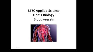 BTEC Applied Science Unit 1 Biology Blood Vessels [upl. by Elwood]