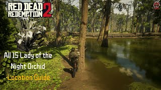 RDR2 Lady of the Night Orchid Hunt A Beginners Guide [upl. by Aniluj314]