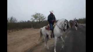 JOSE GUADALUPE ESPARZA CABALGANDO Y CANTANDO A RIENDA SUELTA [upl. by Esya]