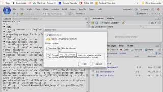 Using RStudio Server [upl. by Pretrice]