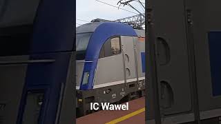 IC Wawel w Gliwicach shorts train kolej pociagi railway rail pociag [upl. by Hattie]