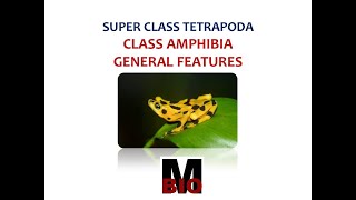 CLASS AMPHIBIA GENERAL FEATURES [upl. by Lehrer]