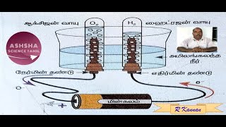 Electrolysis of Water  OXYGEN and HYDROGEN from Water  Tamil [upl. by Najib]