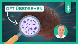 Erreger im Gehirn Ursachen und Auswirkungen  Immunsystem  Borrelien  Parasiten [upl. by Emia]