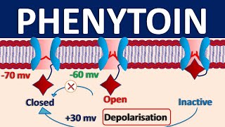 Phenytoin  Mechanism side effects precautions amp uses [upl. by Groark]