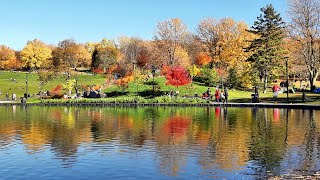 Octobre  Avant la plui  Mont Royal [upl. by Nannoc]