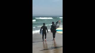 Surfers Flee Cape Cod Waters as Shark Attacks Seal at Nauset Beach [upl. by Atteyram]