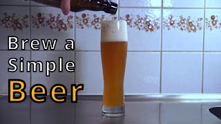 Brewing a simple beer [upl. by Petromilli]