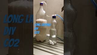 Long lasting DIY Co2 for your planted Aquarium Diy Co2 System sojoeartandcraft [upl. by Dub]