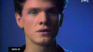 Marc Lavoine  Elle a Les Yeux Revolver Official Video Clip [upl. by Shultz526]