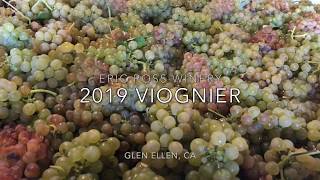 2019 Viognier Production [upl. by Valerle]