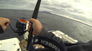 Fishing Off Montague Island at Bermagui [upl. by Leksehc]