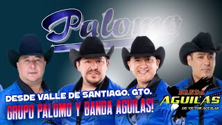 ALV El Show E1 T3  Grupo Palomo desde Valle de Santiago [upl. by Esinehs]