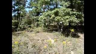 Lot 30 Plat 9 in Lake Hanna  St Francois County MO  Just 3800 Financed for 194month [upl. by Eimam461]