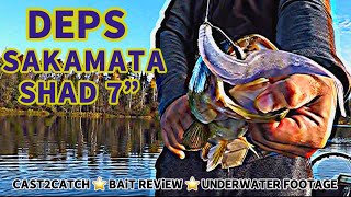 Deps Sakamata Shad 7” rigged Owner Beast Hook Style Cast2Catch Bait Review  underwater footage [upl. by Nevet]