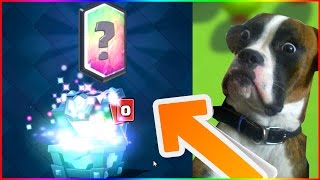 MON CHIEN A UNE LÉGENDAIRE EN LIVE OMG EPIC Pack Opening COFFRE LEGENDAIRE Clash Royale FR [upl. by Nnylkcaj]