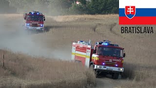 🇸🇰 Through grainfield TATRA Tankers getting water for large fire in Bratislava 1611 [upl. by Kenley]