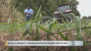 Huge victory Black farmers react to being given 2 billion from USDA [upl. by Janka]