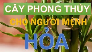 PHẠM NGŨ LÃO [upl. by Condon235]