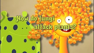 Fungicide No 2 How Do Fungi Attack Plants [upl. by Emie]