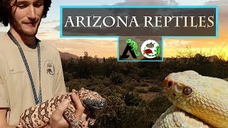 Reptiles of Arizona  Phoenix Herpetological Society [upl. by Fairbanks]