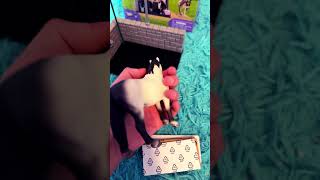 Schleich haul final part schleichhorseclub horseenthusiast viralvideo schleich horsefan pony [upl. by Barrett]