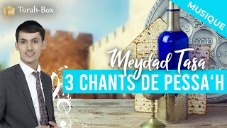 3 Chants de Pessah avec Meydad Tasa amp TorahBox [upl. by Pahl142]