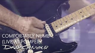 David Gilmour  Comfortably Numb Live At Pompeii [upl. by Lymn84]