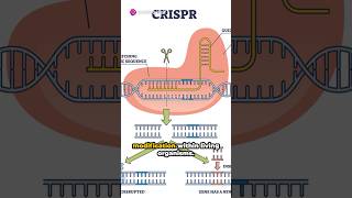 Genome editing with CRISPRCas9 [upl. by Edahsalof]