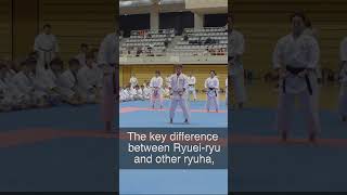 Karate World Champion Tsuguo Sakumoto  Ryuheiryu karate ryuheiryu okinawa okinawankarate [upl. by Annerahs75]