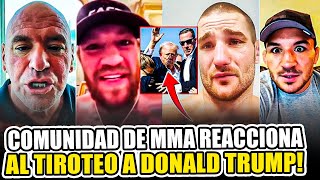 Comunidad de las MMA REACCIONA al TIROTEO a Donald Trump Dober muestra SECUELAS del TERRIBLE CORTE [upl. by Gresham132]