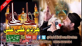 Ehle Nazar Ki Aankh Ka Tara Ali Ali  Owais Raza Qadri  By Qadri Ziai Production [upl. by Akeirahs]