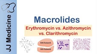 Macrolides Azithromycin Erythromycin  Bacterial Targets Mechanism of Action Adverse Effects [upl. by Westleigh798]