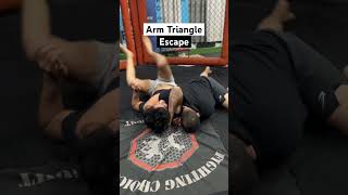 Arm Triangle escape  bjj jiujitsu grappling mma shorts [upl. by Clementis]