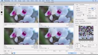 Saving images for the web in Photoshop CC [upl. by Ecnarretal]