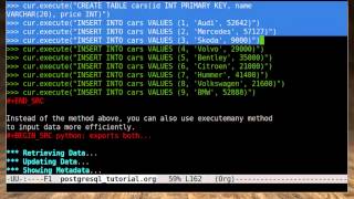 Python Tutorial  PostgreSQL Database Part 2 [upl. by Lsiel41]