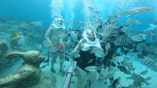 Xcaret Sea Trek Adventure in Playa del Carmen Mexico [upl. by Anelak]