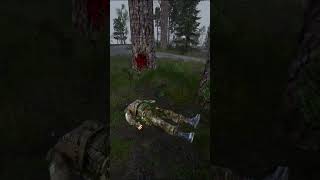 Stalker zombie game shorts [upl. by Niccolo]