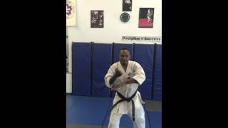 Shidokan Atlanta Kata Pinan 2 [upl. by Adoh]