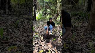 Survival bushcraft skills 🫡 shortsvideo bushcraft lifehack [upl. by Burrow]