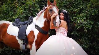 PREQUINCE CABALLO [upl. by Lleynad]