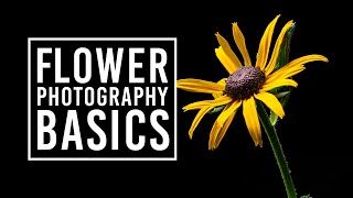 Flower Photography Tips for Beginners amp Macro Photography Ideas [upl. by Amlez620]