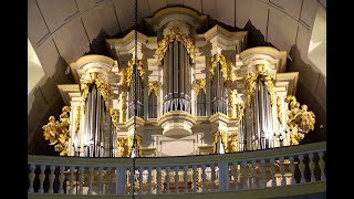 J S Bach in Arnstadt III  quotO Jesu wie ist dein Gestaltquot BWV 1094 [upl. by Nosreve183]