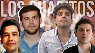 Los Chapitos  Sinaloa Drug Cartel  El Chapo amp Sons  2024 Update [upl. by Ainwat]